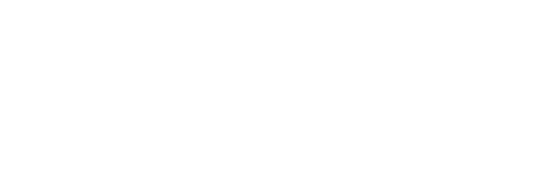 Werbeagentur Videomarketing Imagefilme Werbefilme wideVision Logo
